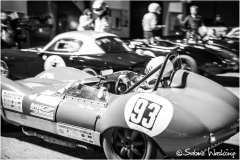 OGP_SWaskoenig_X_2018_08_11_0514