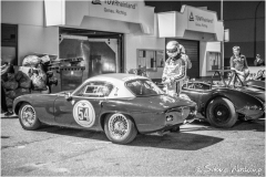 OGP_SWaskoenig_X_2018_08_11_0515