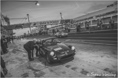 OGP_SWaskoenig_X_2018_08_11_0626