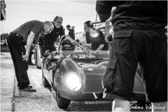 OGP_SWaskoenig_X_2018_08_11_0636