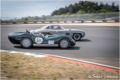 OGP_SWaskoenig_X_2018_08_12_0143