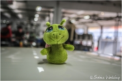 hock_SWaskoenig_X_2018_04_28_0553