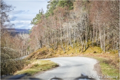 scot_SWaskoenig_X_2018_04_18_0424