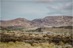 scot_SWaskoenig_X_2018_04_18_0428