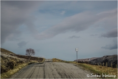 scot_SWaskoenig_X_2018_04_18_0437