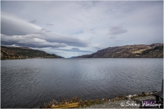 scot_SWaskoenig_X_2018_04_18_0446