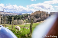 scot_SWaskoenig_X_2018_04_20_0169