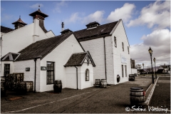 scot_SWaskoenig_X_2018_04_20_0234
