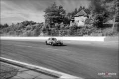 Spa_waskoenig_XIII2021_06_261896